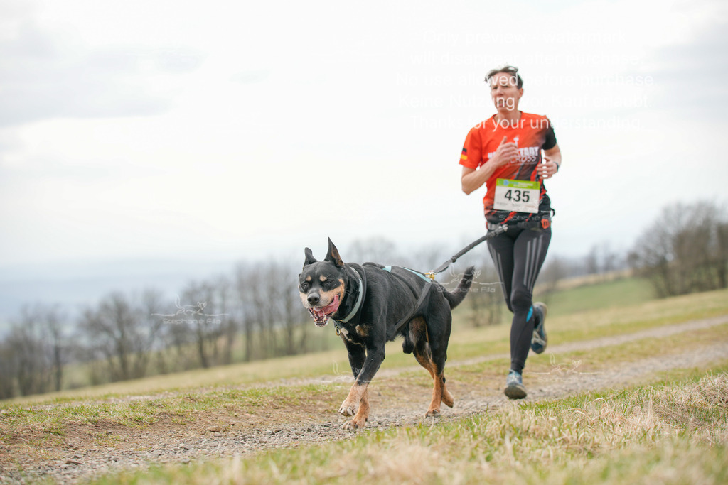 CaniXRunSA-184 | stephaniefillaphotographie - Realisiert mit Pictrs.com