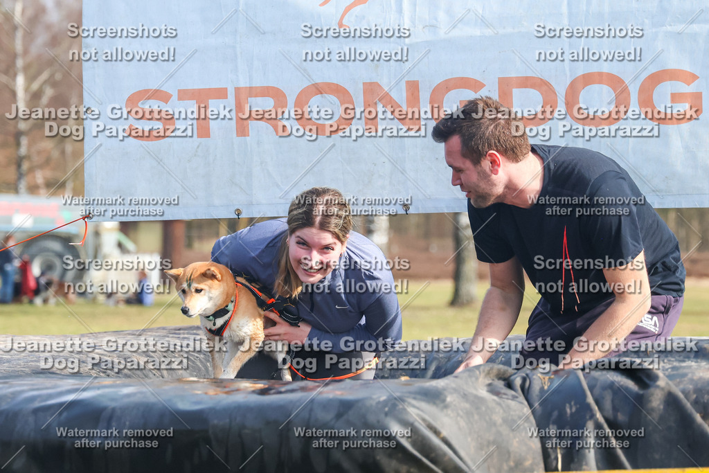 Dog Paparazzi - Strongdog North Mrz26-2217 | Dog Paparazzi Jeanette Grottendiek Fotografie & Videografie - Realisiert mit Pictrs.com