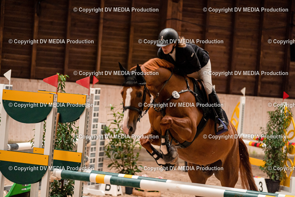 Springen Tag 2-183 | dv-media-shop - Realisiert mit Pictrs.com