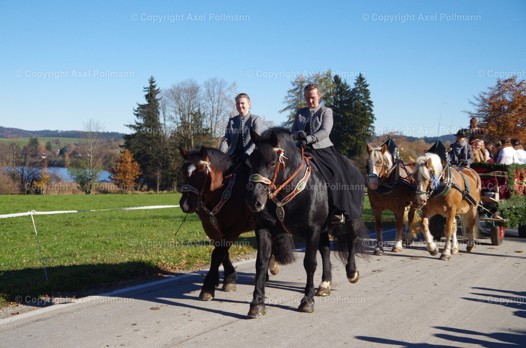 IMGP8186 | fotografiert von Axel PollmannLeonhardi Wallfahrt Benediktbeuern und Murnau, Fronleichnam, Fasching, Landschaft im Loisachtal und Benediktbeuern  - Realisiert mit Pictrs.com