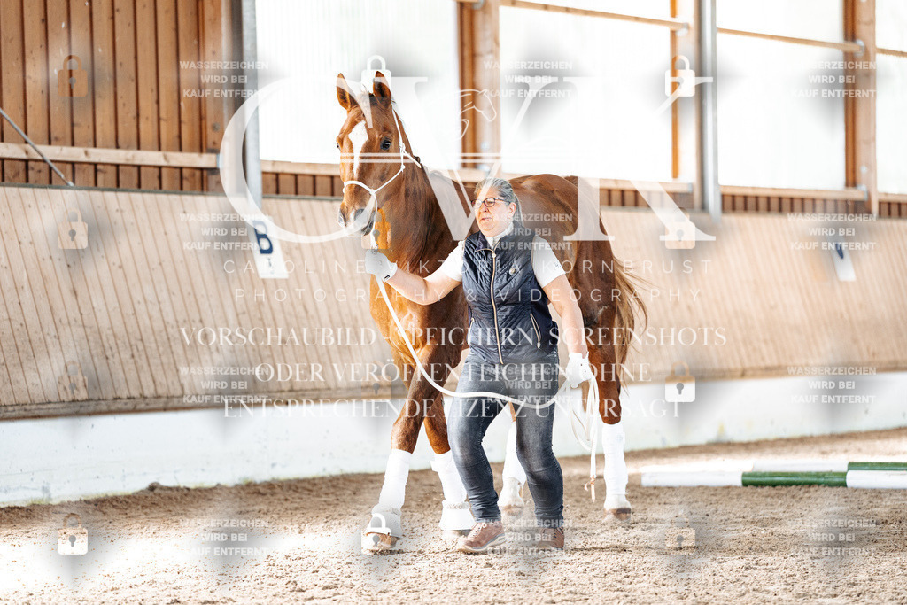 CK906139 | Turnierfotografie Pferdefotografie Trier Rheinland-Pfalz Pferdesport Reitsport Tierfotografie Sportfotografie Pferdevideo Pferdevideografie Equestrianvideography equestrianphotography  - Realisiert mit Pictrs.com