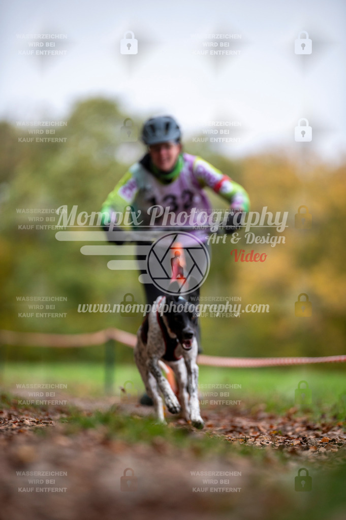 DBT_DAKM_SA_4_11_2023_DS1-45 | mompixphotography