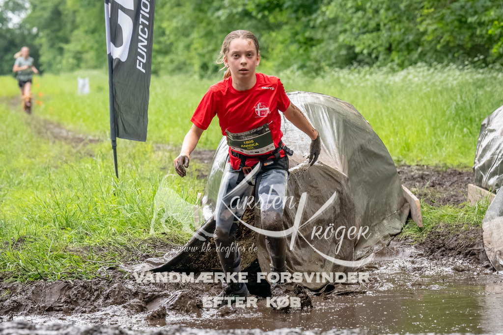 1516_ZZ92456-Bearbeitet | kk-dogfotos