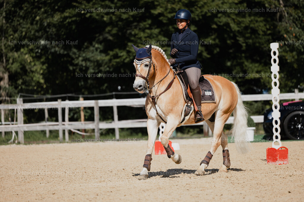 Tanesha5FHC2025-27403 | working equitationturnier fotograf videograf stoibphotography marixx film working equitation deutschland reitsport turnierfotografie eventfotografie equestrian events