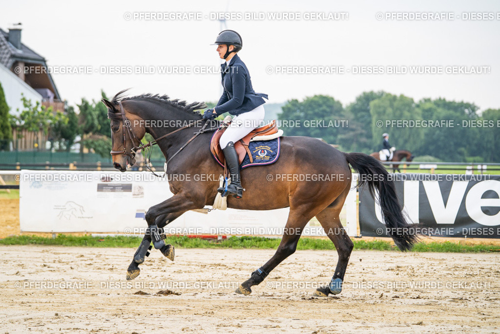 DSC09271 | Pferdegrafie