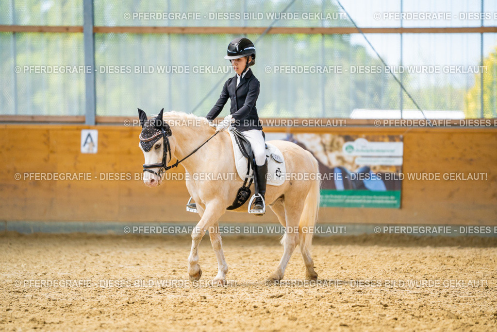 DSC09107 | Pferdegrafie