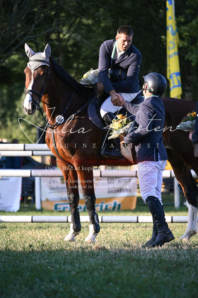 DSC_2029 | Pferde- und Turnierfotografie in Westsachsen. Pferdeportraits, Auftragszeichnungen und intuitive Kunst.