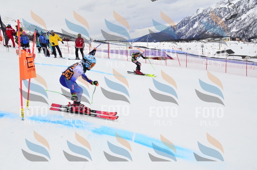 _ELE4078 | holidayphoto