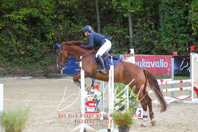 DKP42700 | Turniersportfotografie; Pferdefotografie; Dressurfotografie