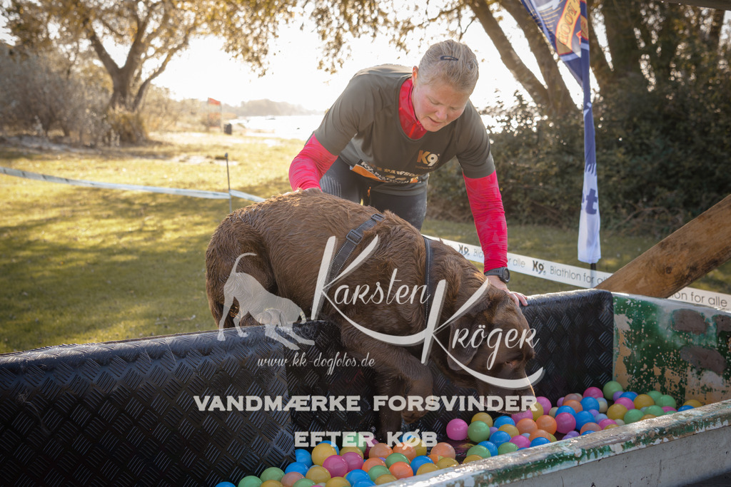 1221_ZZ95736 | kk-dogfotos