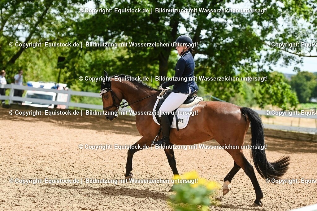 20230716_03_Dressurprfg. Kl.L - Tr._0661 | equistock