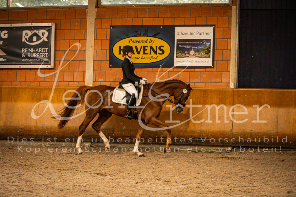 2Reiten00223 | Leoni Ertmer Photography - Realisiert mit Pictrs.com