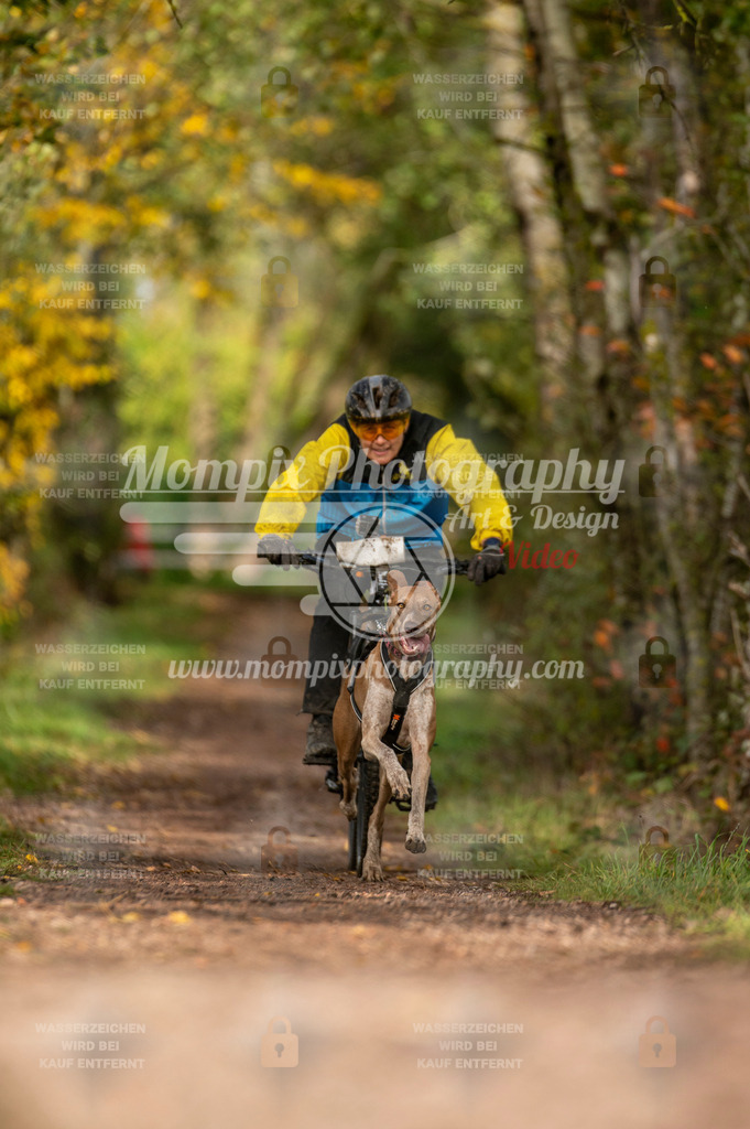 TSB_2023_E4_Bike-74 | PayLife