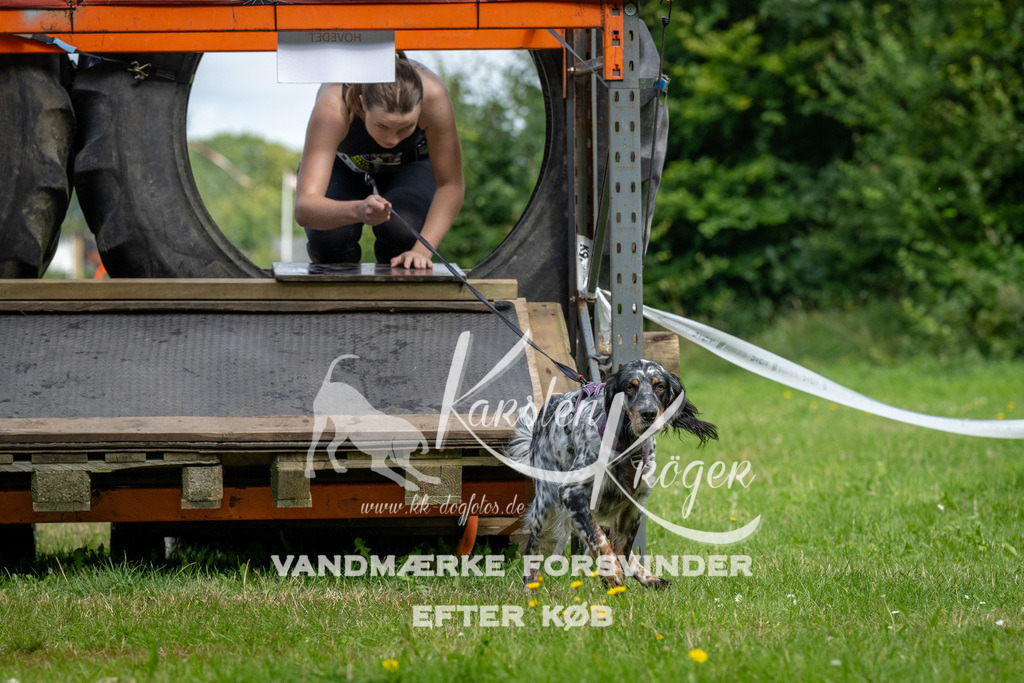 1138_ZZ92877 | kk-dogfotos