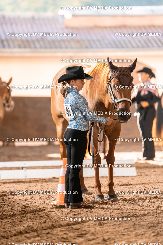 LM Heiligenwald Tag 1-39 | dv-media-shop - Realisiert mit Pictrs.com