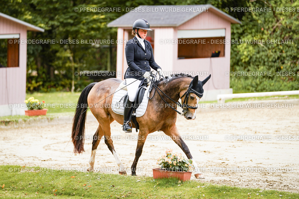 DSC02459 | Pferdegrafie