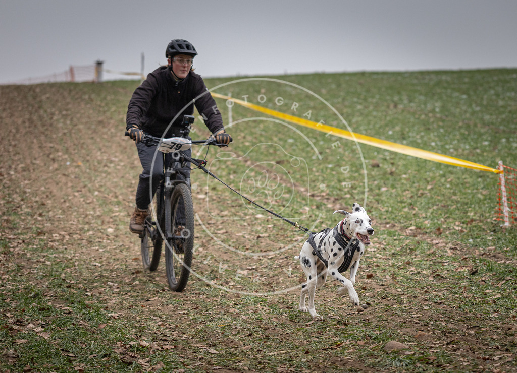 Pfotenfotografie_DV3A1761 | Hundefotografie, Tierfotograf, Pfotenfotografie, Fotoshooting Hund, Hunde Portrait, Hundesport, Hundeportraits, Heideshooting, Hunde, Sportfotograf, Hundefotograf, Turnierhundsport, THS,  - Realisiert mit Pictrs.com