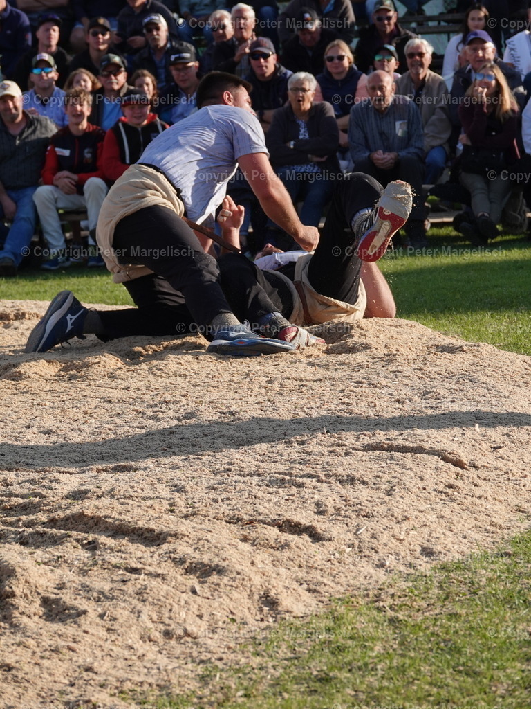DSC05674 | Schwingen - Realisiert mit Pictrs.com