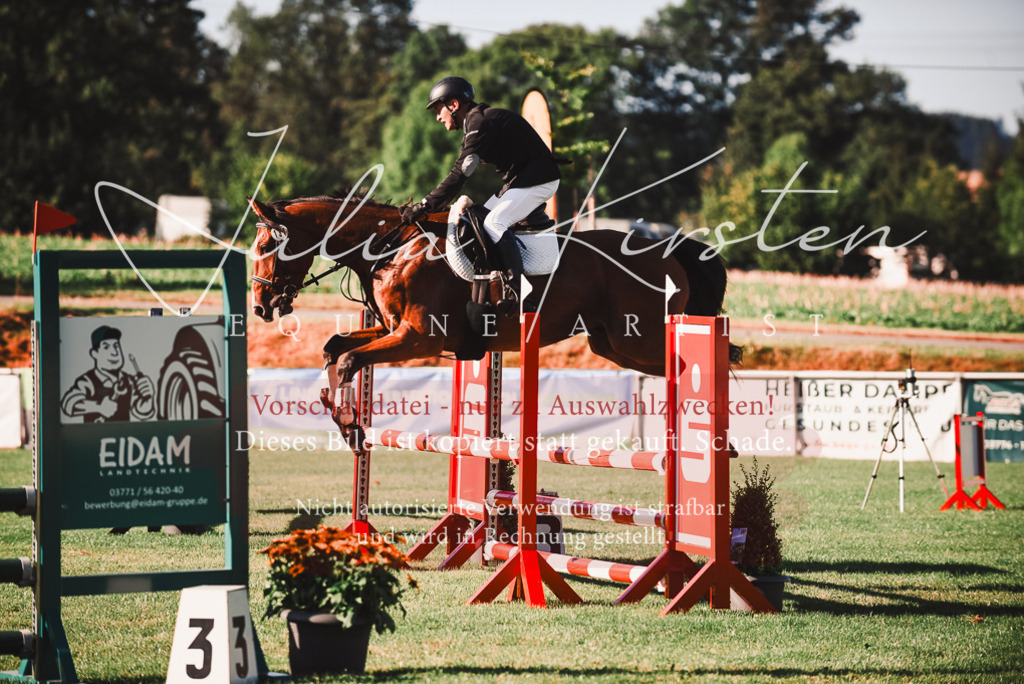 DSC_2180 | Pferde- und Turnierfotografie in Westsachsen. Pferdeportraits, Auftragszeichnungen und intuitive Kunst.