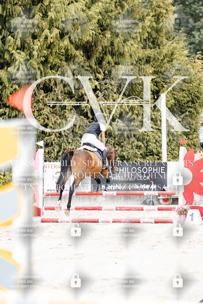 CK908112 | Turnierfotografie Pferdefotografie Trier Rheinland-Pfalz Pferdesport Reitsport Tierfotografie Sportfotografie Pferdevideo Pferdevideografie Equestrianvideography equestrianphotography  - Realisiert mit Pictrs.com