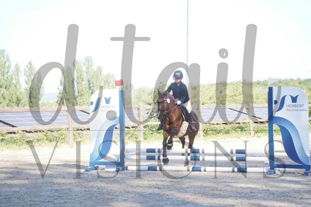 tgbhsonntag (113) | d.tail Visions - Shop - Realisiert mit Pictrs.com