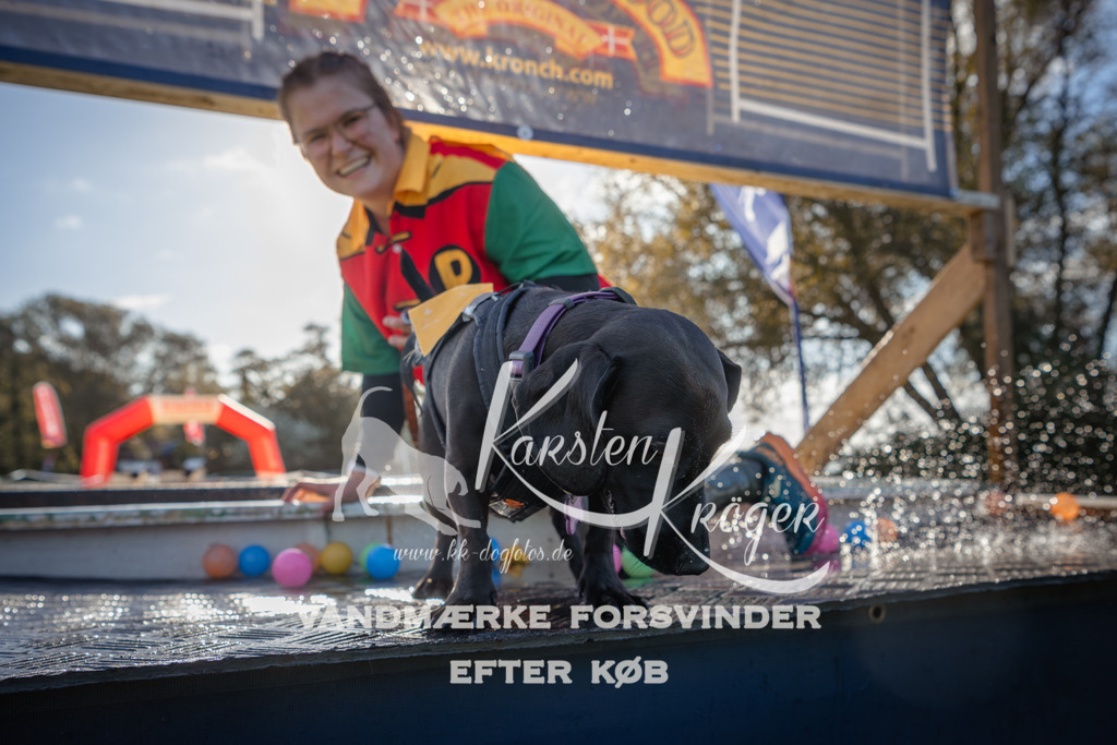 1018_ZZ90327 | kk-dogfotos