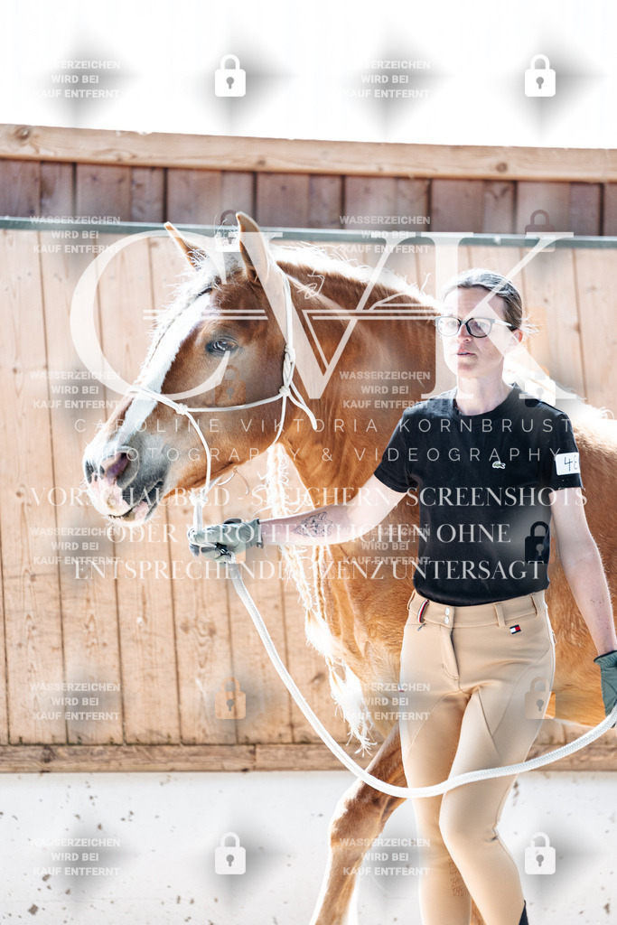 CK906712 | Turnierfotografie Pferdefotografie Trier Rheinland-Pfalz Pferdesport Reitsport Tierfotografie Sportfotografie Pferdevideo Pferdevideografie Equestrianvideography equestrianphotography  - Realisiert mit Pictrs.com