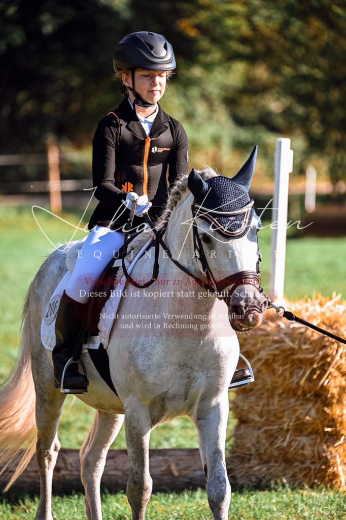 DSC_0416 | Pferde- und Turnierfotografie in Westsachsen. Pferdeportraits, Auftragszeichnungen und intuitive Kunst.