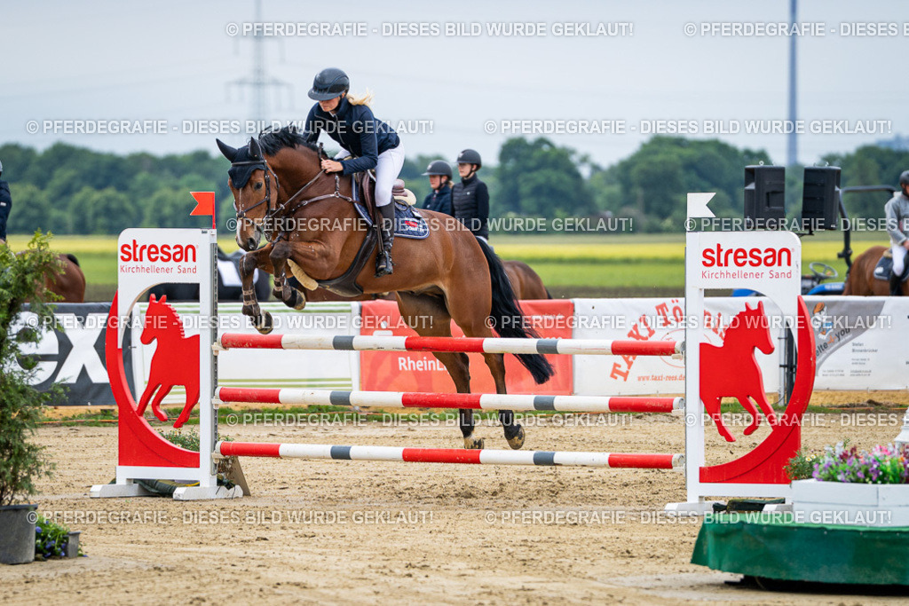 DSC04777 | Pferdegrafie