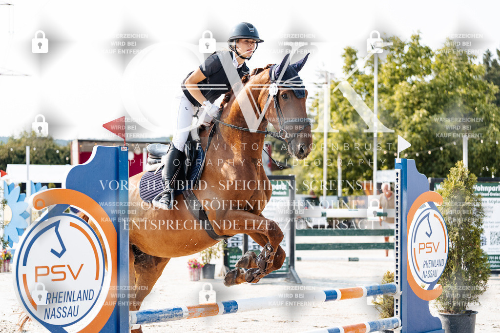 CK902826 | Turnierfotografie Pferdefotografie Trier Rheinland-Pfalz Pferdesport Reitsport Tierfotografie Sportfotografie Pferdevideo Pferdevideografie Equestrianvideography equestrianphotography  - Realisiert mit Pictrs.com