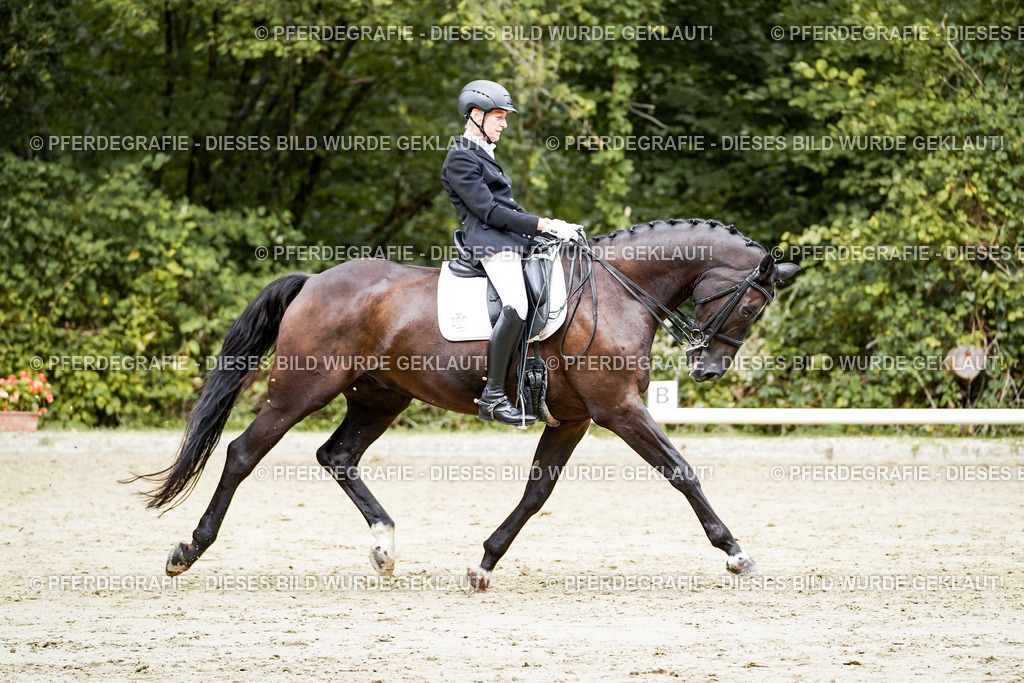 DSC05873 | Pferdegrafie