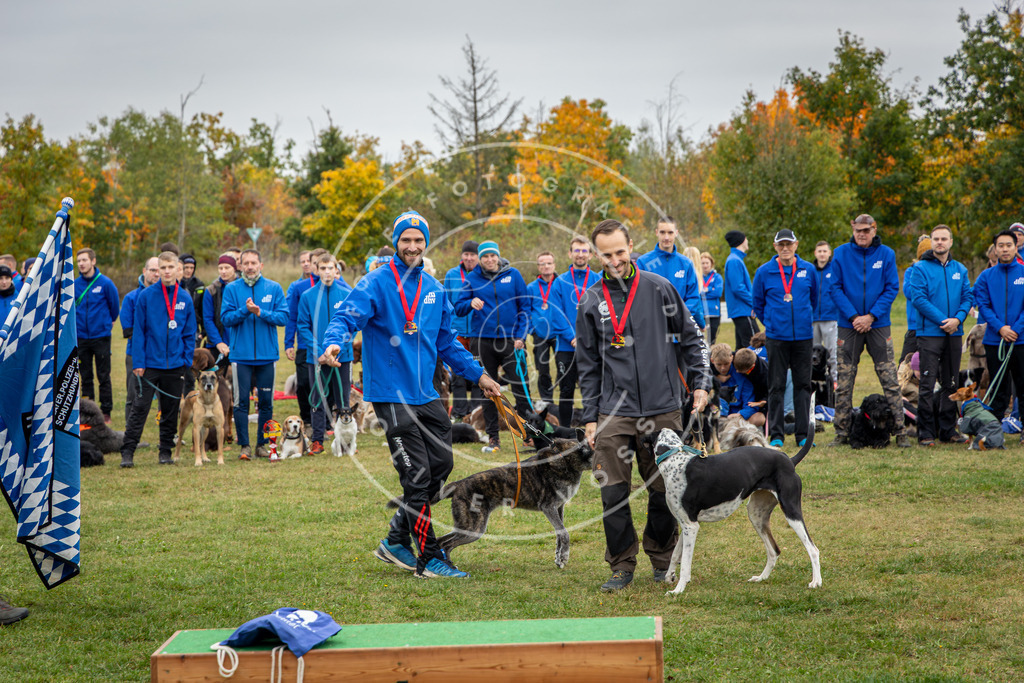 Pfotenfotografie_0L8A0460 | Hundefotografie, Tierfotograf, Pfotenfotografie, Fotoshooting Hund, Hunde Portrait, Hundesport, Hundeportraits, Heideshooting, Hunde, Sportfotograf, Hundefotograf, Turnierhundsport, THS,  - Realisiert mit Pictrs.com