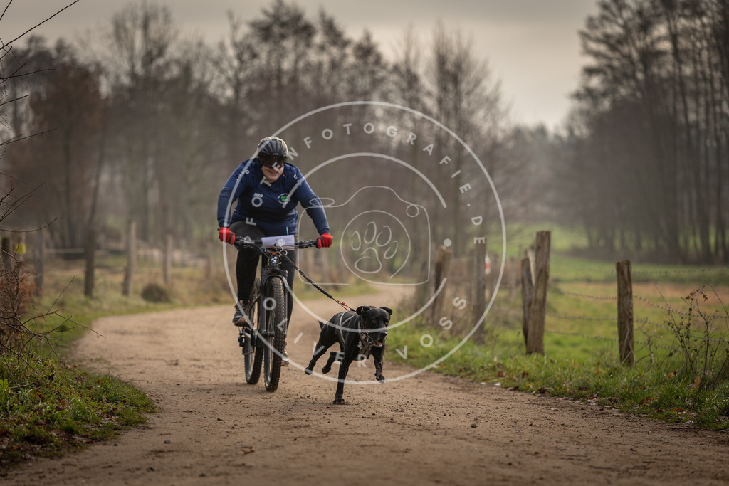Pfotenfotografie_DV3A2024 | Hundefotografie, Tierfotograf, Pfotenfotografie, Fotoshooting Hund, Hunde Portrait, Hundesport, Hundeportraits, Heideshooting, Hunde, Sportfotograf, Hundefotograf, Turnierhundsport, THS,  - Realisiert mit Pictrs.com