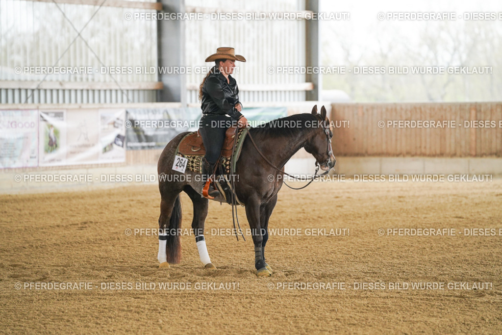 DSC07376 | Pferdegrafie