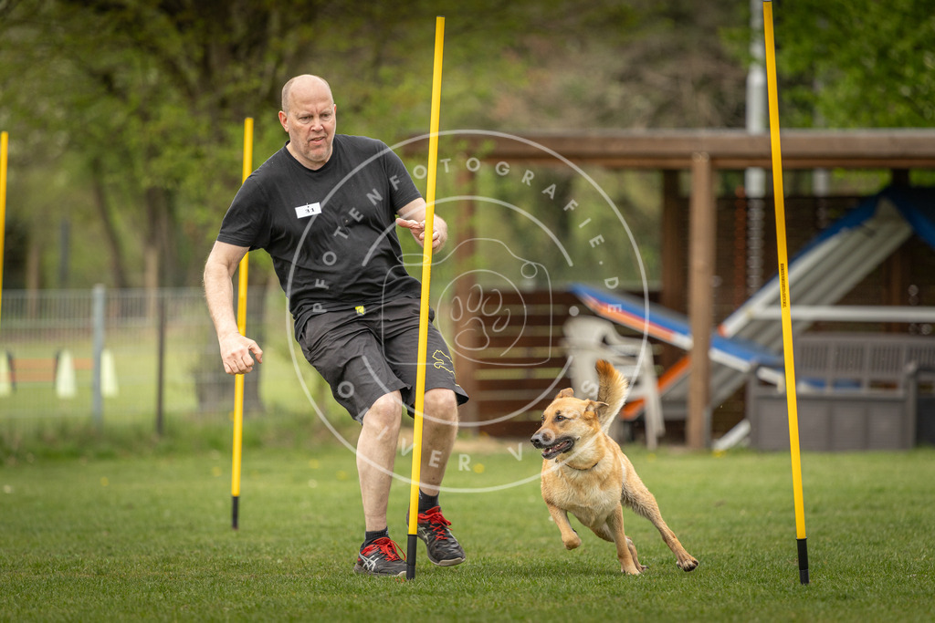 Pfotenfotografie_DV3A2194 | Hundefotografie, Tierfotograf, Pfotenfotografie, Fotoshooting Hund, Hunde Portrait, Hundesport, Hundeportraits, Heideshooting, Hunde, Sportfotograf, Hundefotograf, Turnierhundsport, THS,  - Realisiert mit Pictrs.com