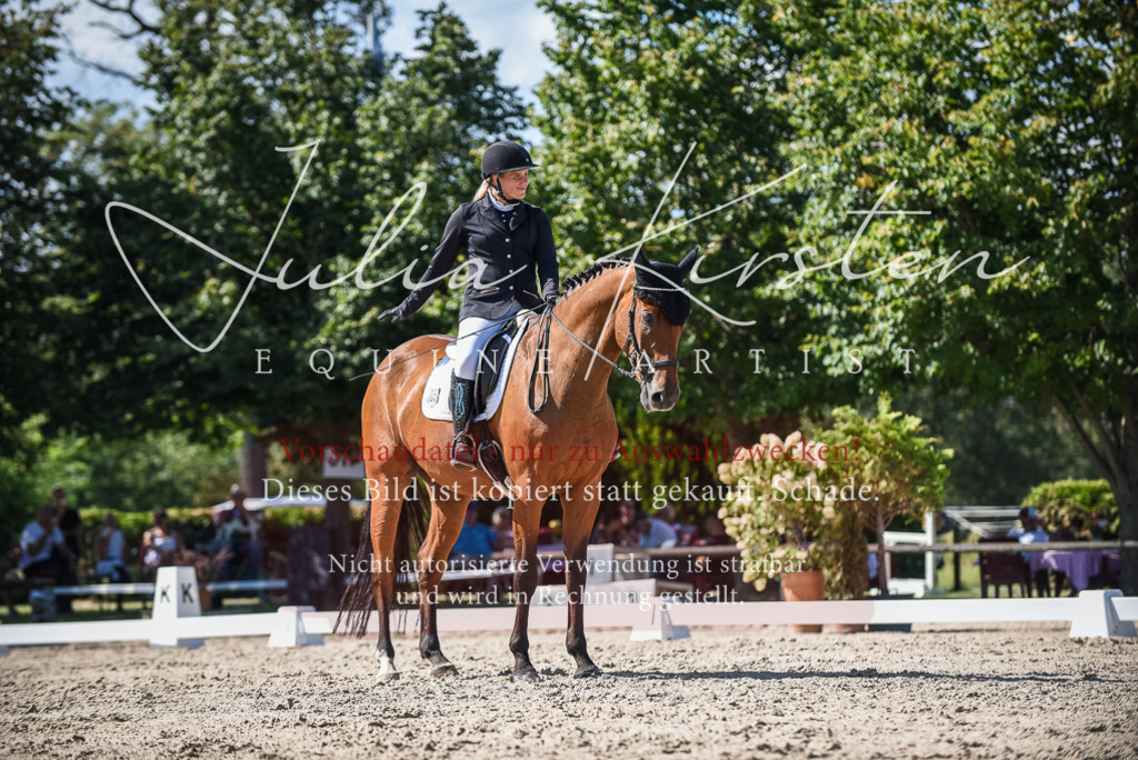 DSC_9658 | Pferde- und Turnierfotografie in Westsachsen. Pferdeportraits, Auftragszeichnungen und intuitive Kunst.