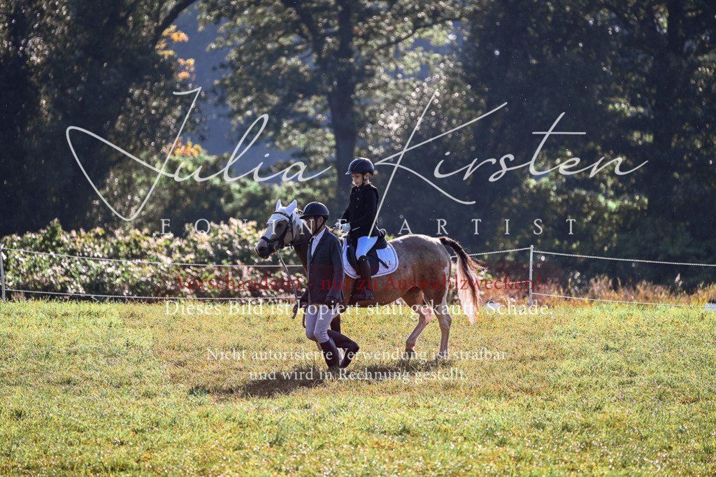 DSC_0323 | Pferde- und Turnierfotografie in Westsachsen. Pferdeportraits, Auftragszeichnungen und intuitive Kunst.