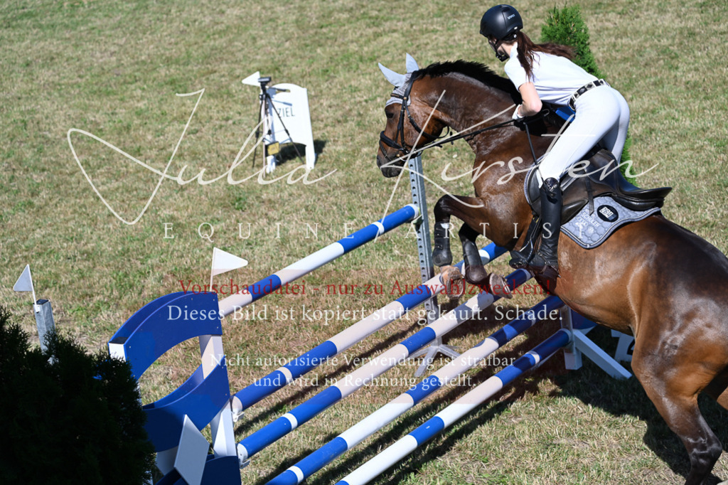 DSC_2050 | Pferde- und Turnierfotografie in Westsachsen. Pferdeportraits, Auftragszeichnungen und intuitive Kunst.