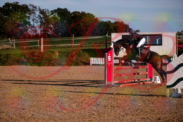 2026_10_03_Siefer-Hof_171851_Z81_16658605 | Professionelle Reitsport-, Turnier- und Eventfotografie von Robert Broda. Galerien mit ausgewählten und bearbeiteten Bildern direkt online ansehen und bestellen.