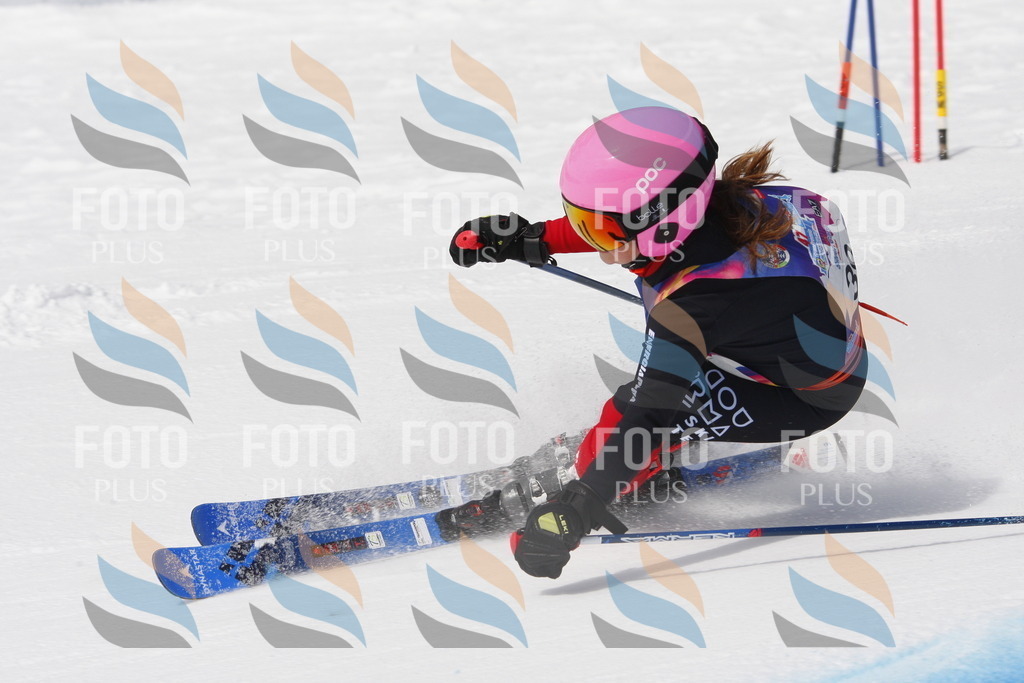 _W1G0556 | holidayphoto