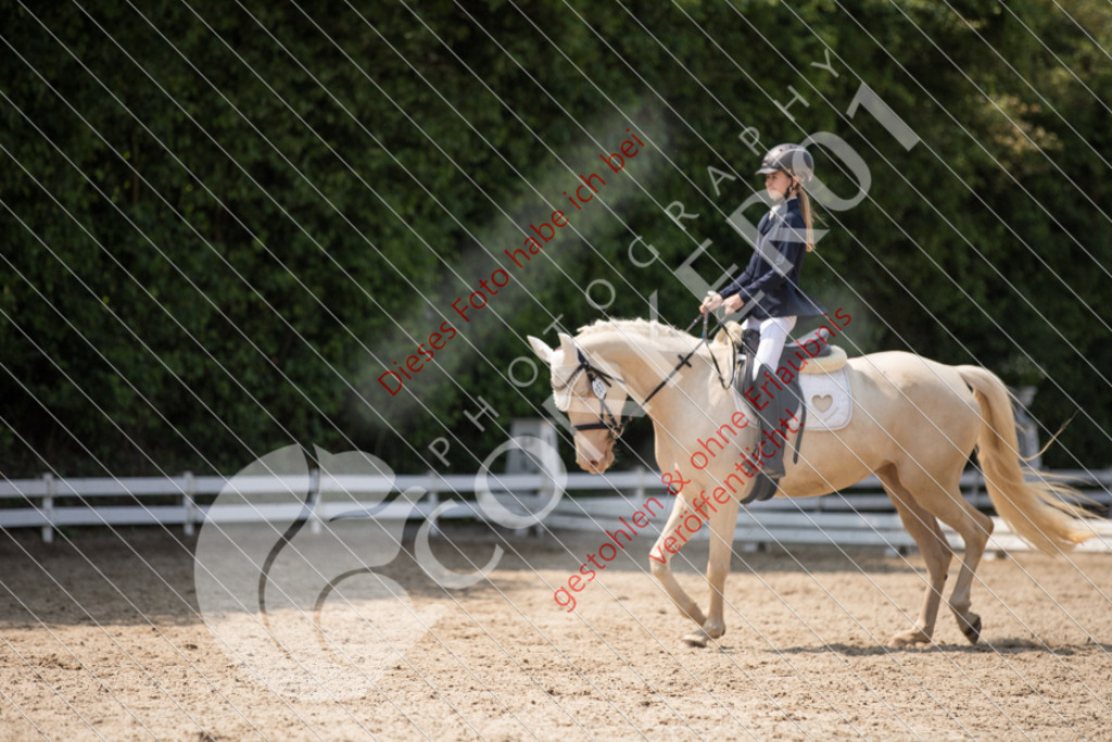 IMG_3747 | Sport-, Event- und Tierfotos in Profiqualität. Einfach auswählen, bestellen und herunterladen. Dein Moment – perfekt festgehalten.