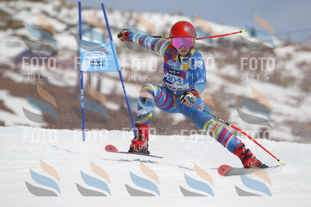 _U3G2114 | holidayphoto