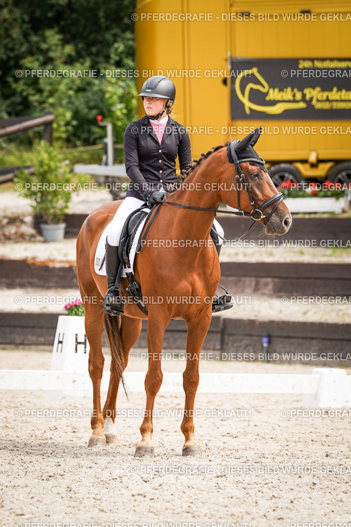 DSC04531 | Pferdegrafie