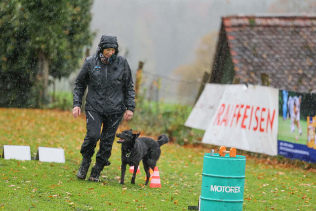 2025_Rally_Obedience_SM-144 | Ich fotografiere Hundeausstellungen, Sportanlässe, Zuchtstätten, Hundezucht, Hundeportrait, Lagotto - Realisiert mit Pictrs.com