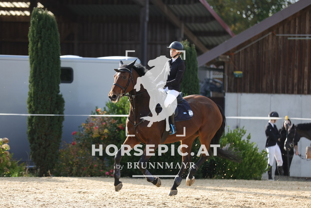 0P6A9901 | Willkommen bei Brunnmayr - Design & Fotografie – Ihrem Spezialisten für Reitturniere und Pferdeveranstaltungen in Oberösterreich, Salzburg und Bayern! Seit über 17 Jahren sind wir leidenschaftlich dabei.