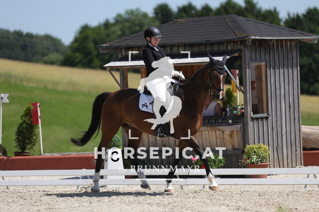 0P6A6617 | Willkommen bei Brunnmayr - Design & Fotografie – Ihrem Spezialisten für Reitturniere und Pferdeveranstaltungen in Oberösterreich, Salzburg und Bayern! Seit über 17 Jahren sind wir leidenschaftlich dabei.
