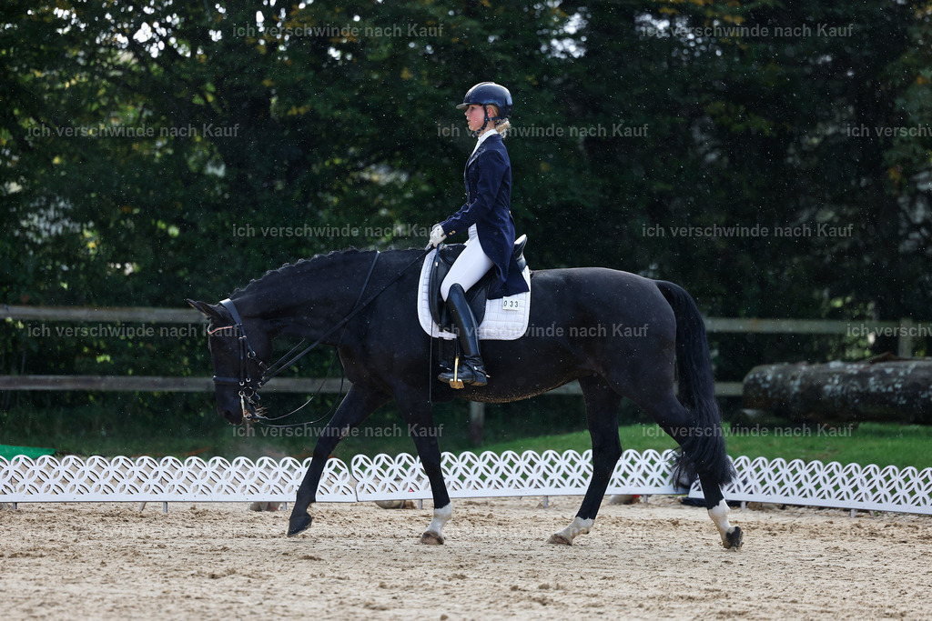 10-033-ST.GEORG SPECIAL -StoibPH-3139 | working equitationturnier fotograf videograf stoibphotography marixx film working equitation deutschland reitsport turnierfotografie eventfotografie equestrian events