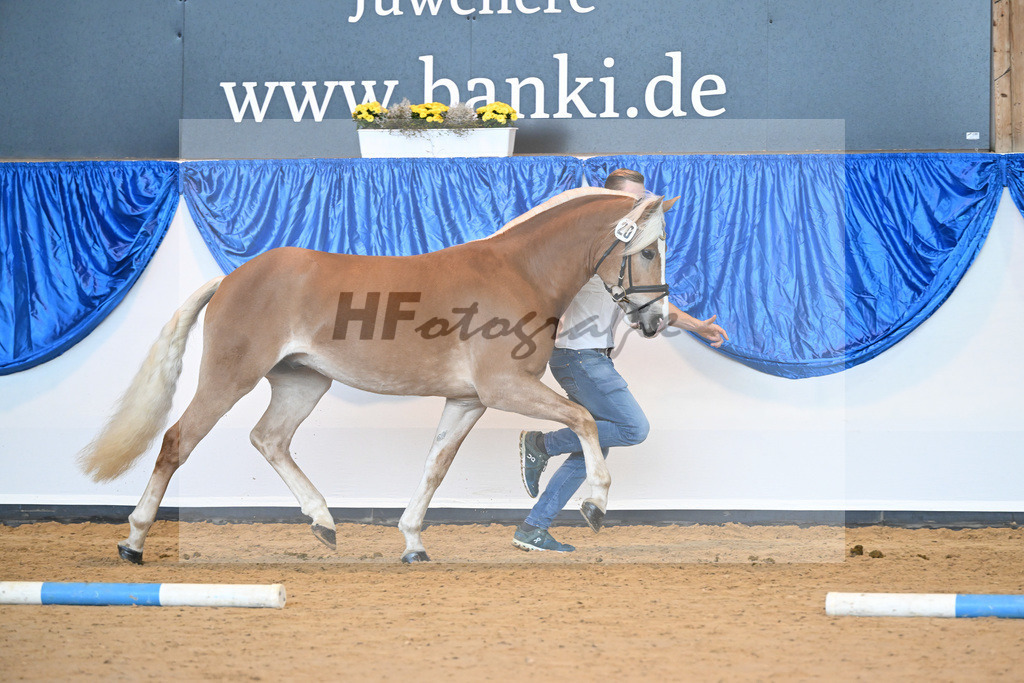 Kat-Nr. 20 nn v. Bugatti_Hock_60220768 | hf-fotografie - Realisiert mit Pictrs.com