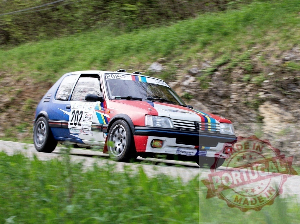 Peugeot 205 rally car speeding on mountain road | Peugeot 205 rally car racing fast on a winding asphalt road, creating motion blur - Realisiert mit Pictrs.com