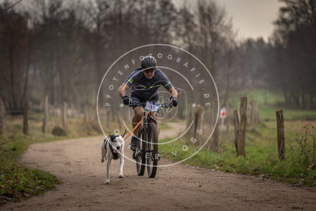 Pfotenfotografie_DV3A1728 | Hundefotografie, Tierfotograf, Pfotenfotografie, Fotoshooting Hund, Hunde Portrait, Hundesport, Hundeportraits, Heideshooting, Hunde, Sportfotograf, Hundefotograf, Turnierhundsport, THS,  - Realisiert mit Pictrs.com